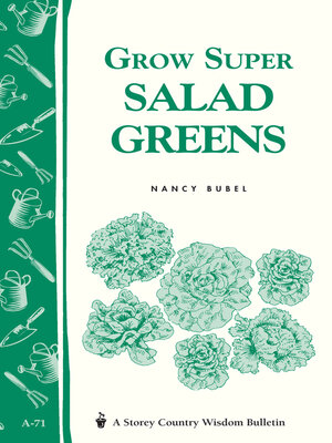cover image of Grow Super Salad Greens